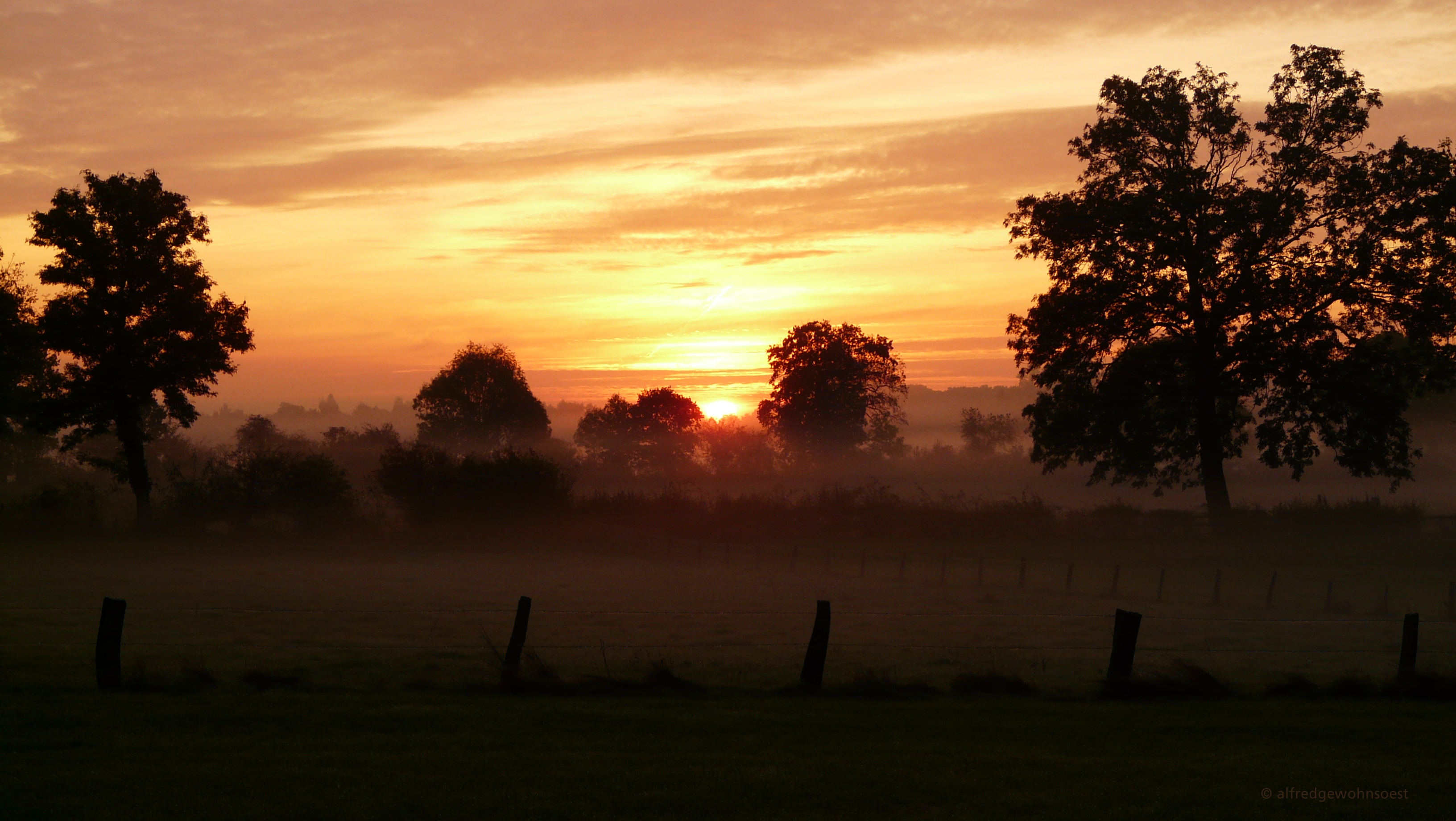 Sonnenaufgang Nebel 05